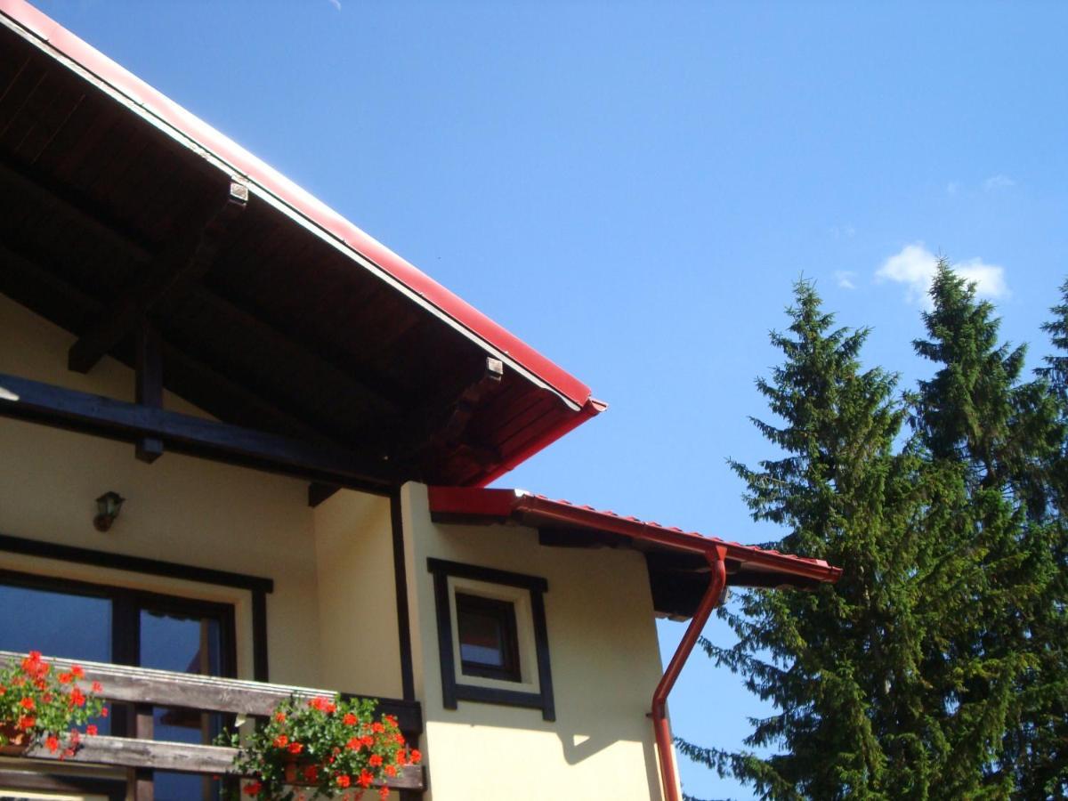 Hotel Casa Cu Flori Buşteni Exterior foto