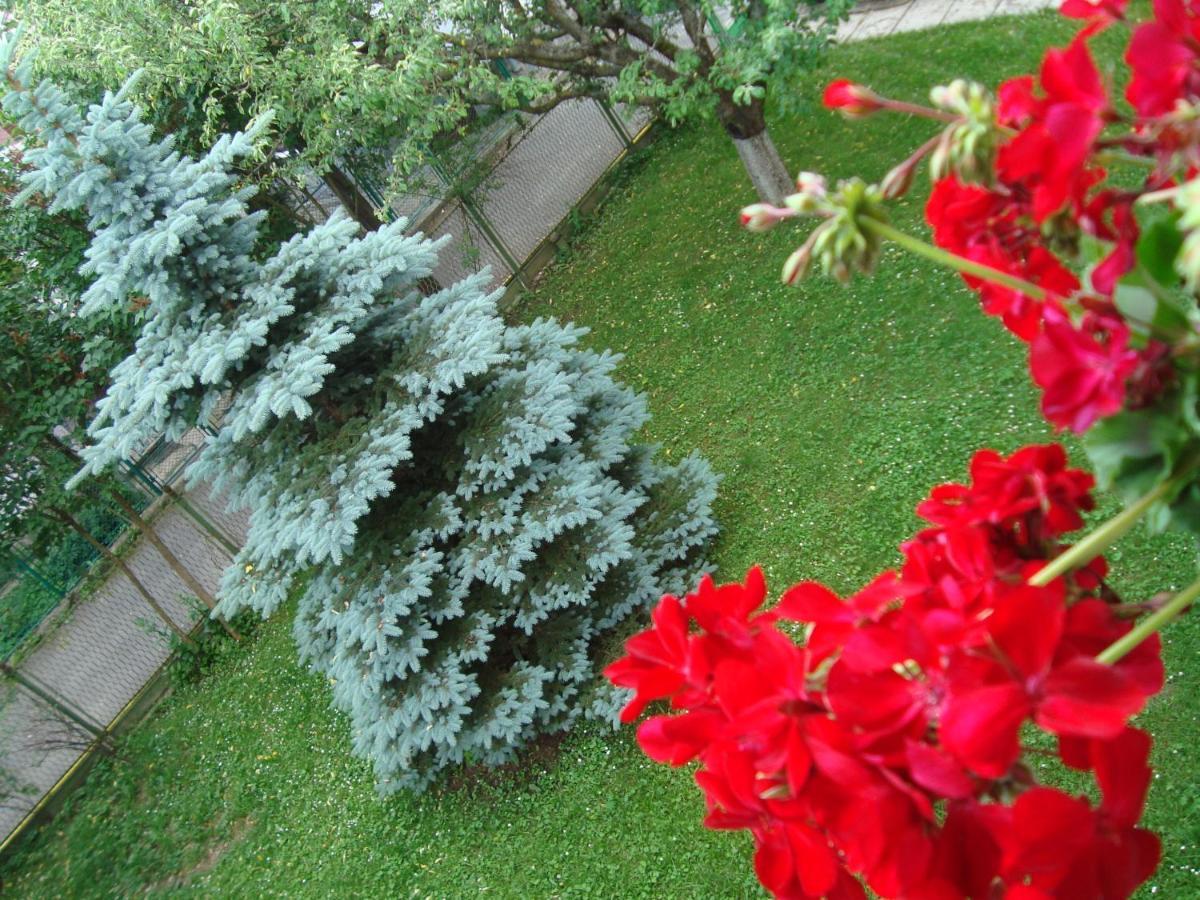 Hotel Casa Cu Flori Buşteni Exterior foto