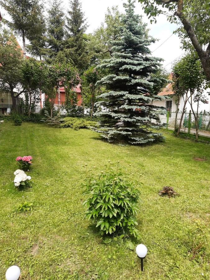 Hotel Casa Cu Flori Buşteni Exterior foto
