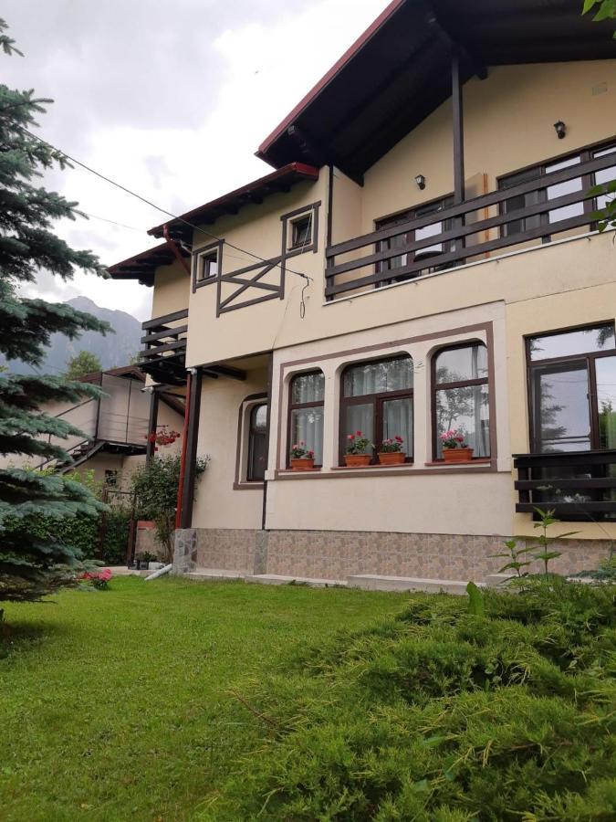 Hotel Casa Cu Flori Buşteni Exterior foto