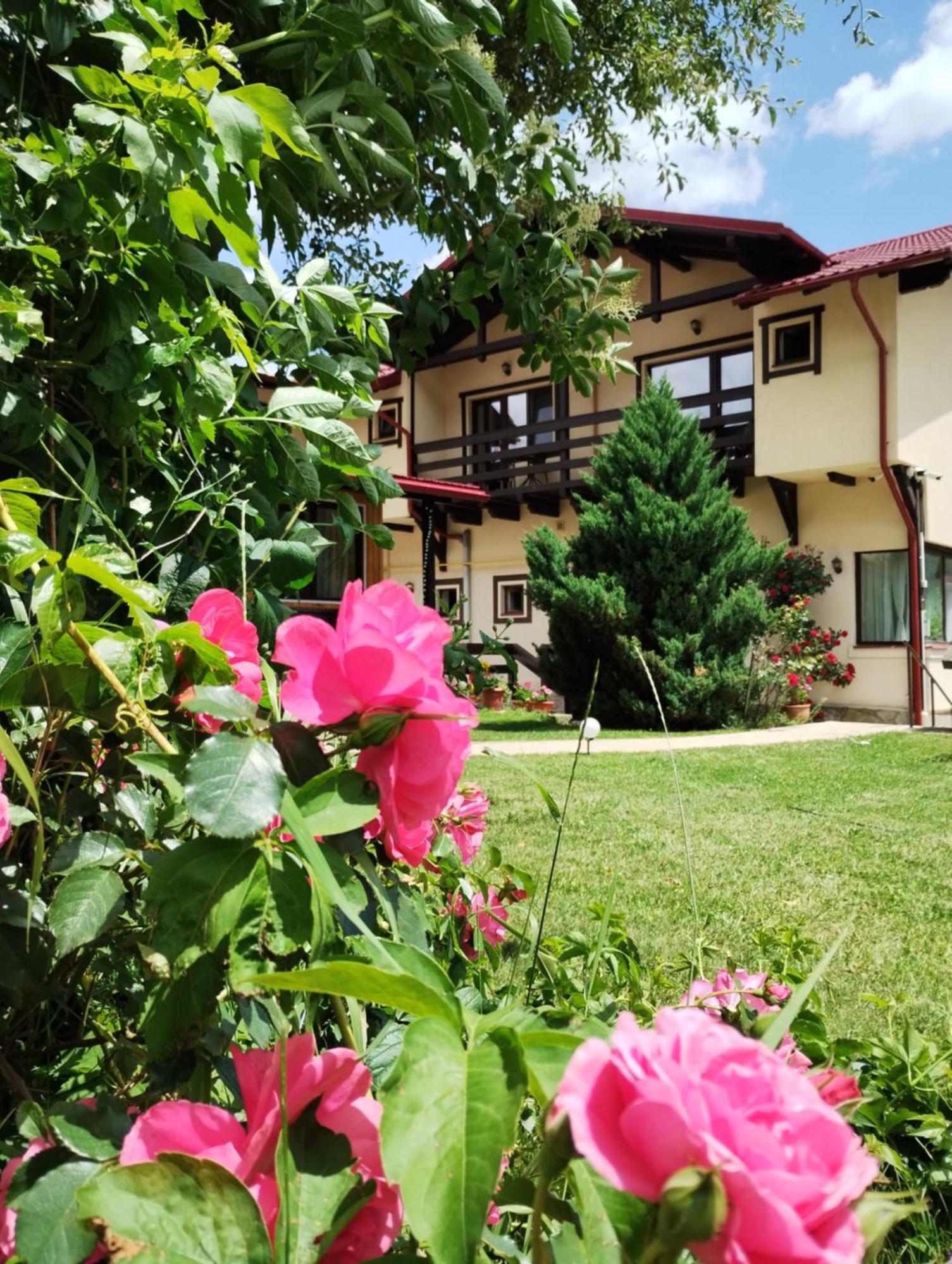 Hotel Casa Cu Flori Buşteni Exterior foto